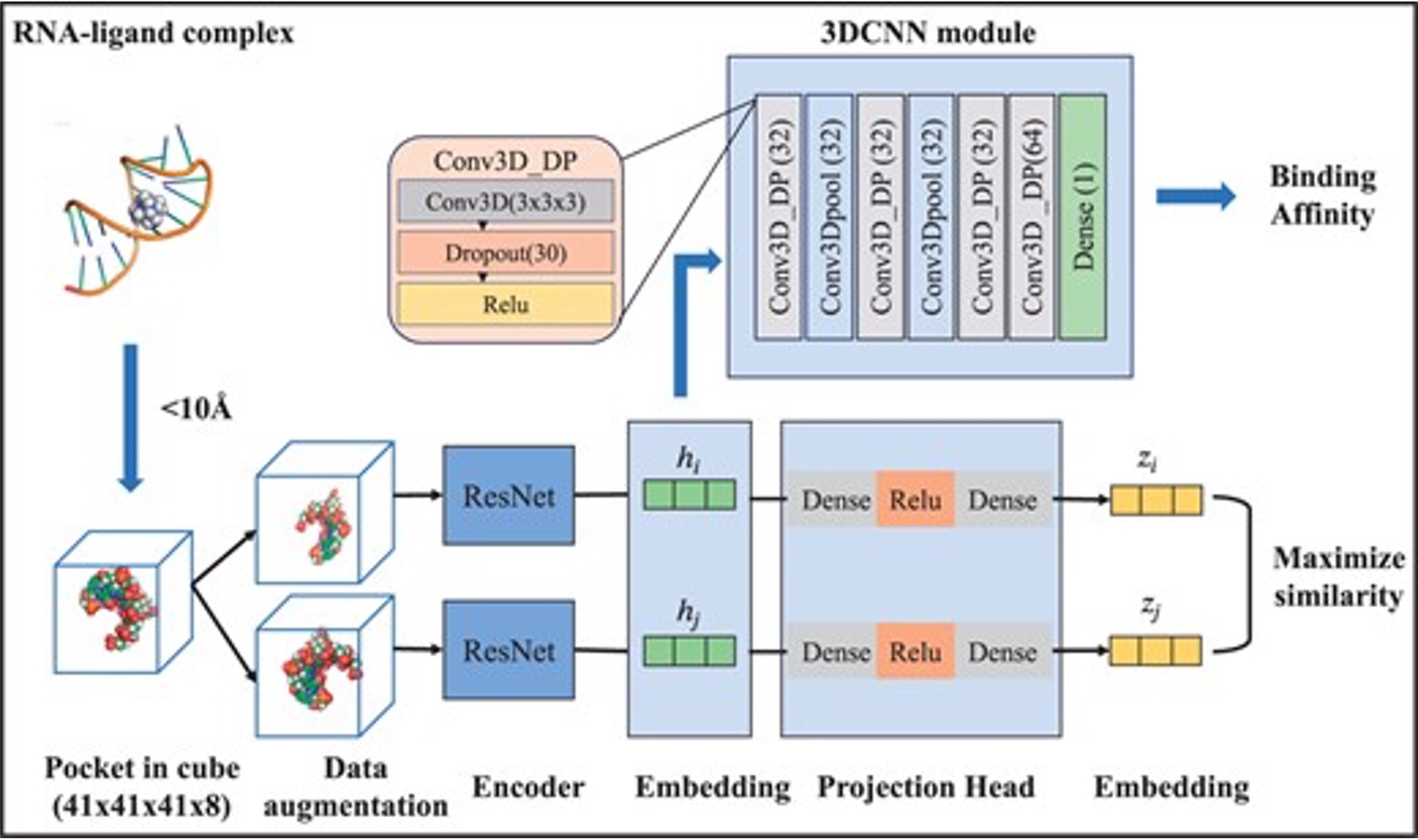 RLaffinity — 3D-CNN Contrastive Inference