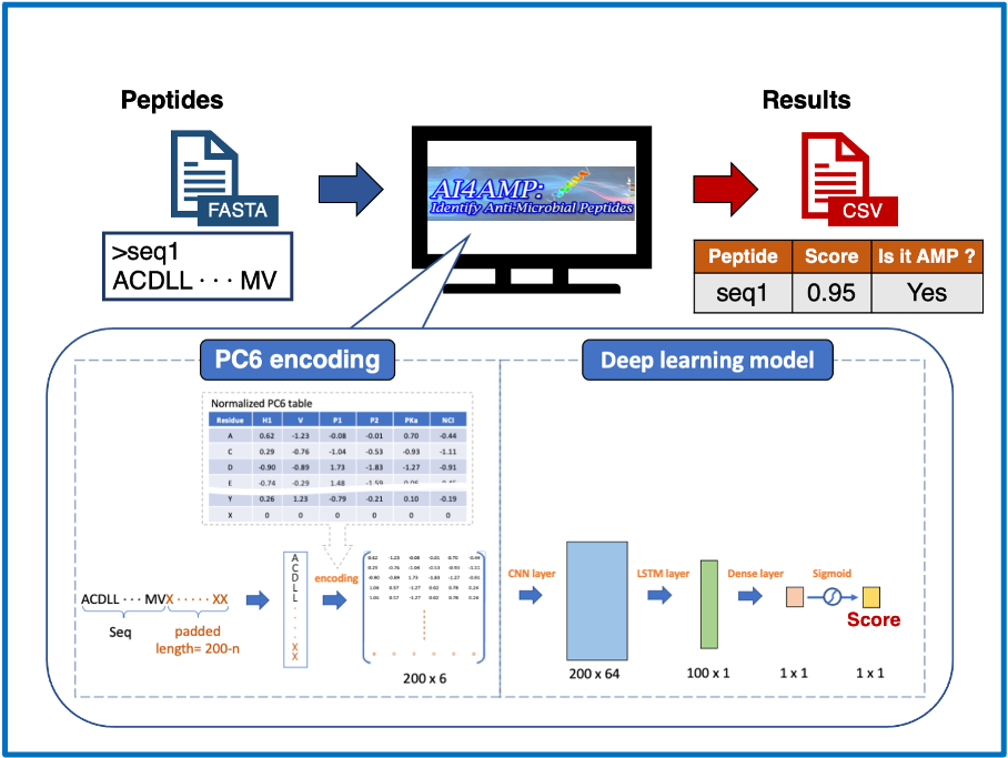 AI4AMP — Antimicrobial Peptide Predictor
