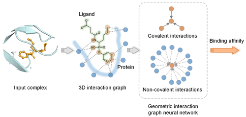 GIGN for RNA–Ligand Binding Affinity